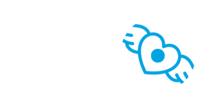 FlyDisk